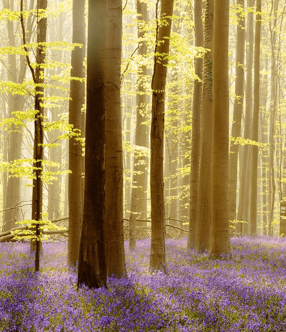 EQUINOZIO DI PRIMAVERA