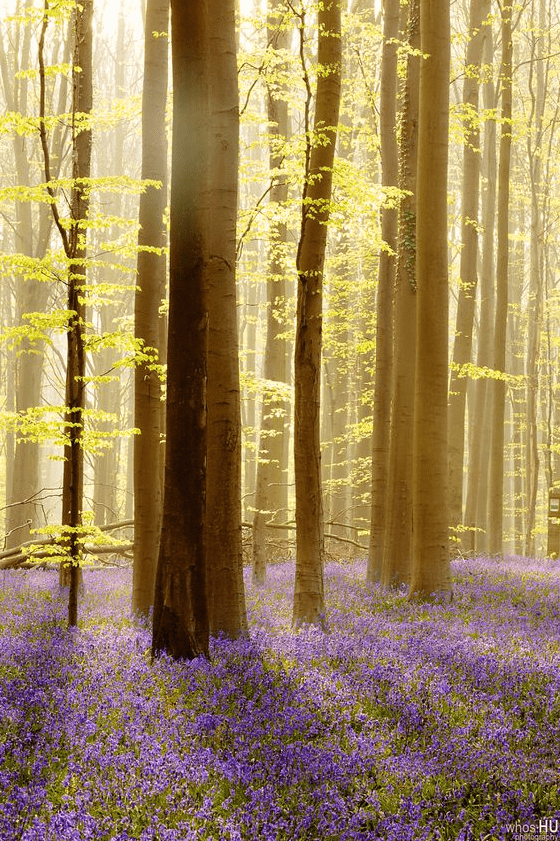 EQUINOZIO DI PRIMAVERA