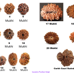 I GRANI RUDRAKSHA